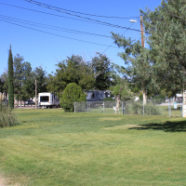 LasCruces_RV_Park_237